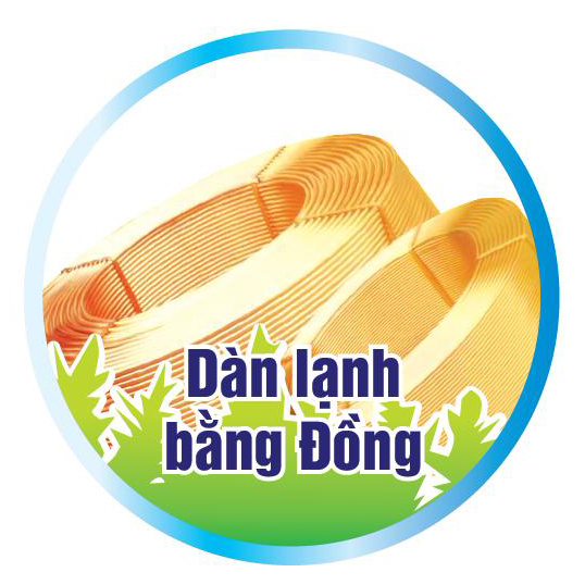 dan-lanh-bang-dong